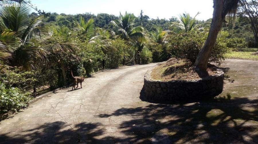 Chácara à venda com 4 quartos, 200m² - Foto 26