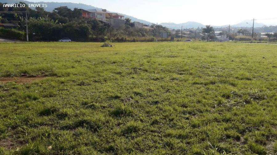 Terreno à venda, 5000m² - Foto 5