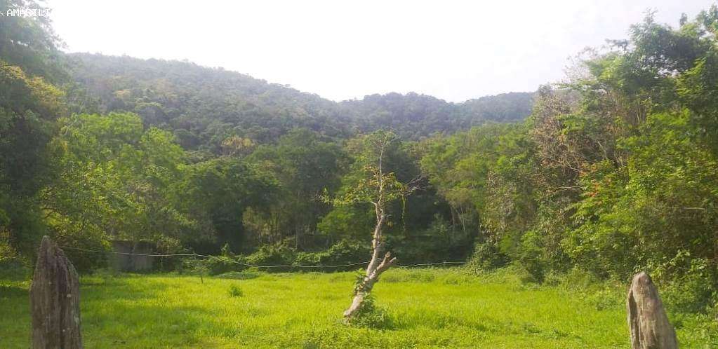 Terreno à venda, 20000m² - Foto 1