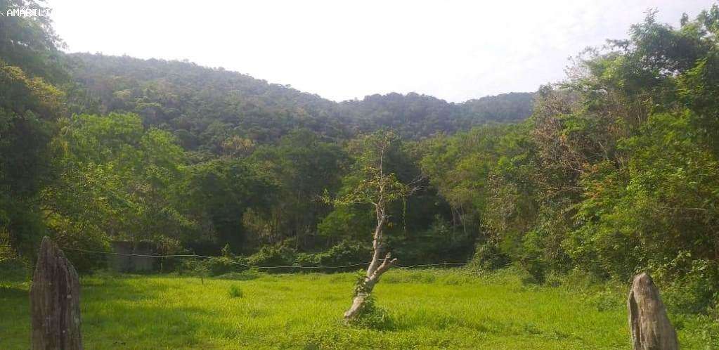 Terreno à venda, 20000m² - Foto 7