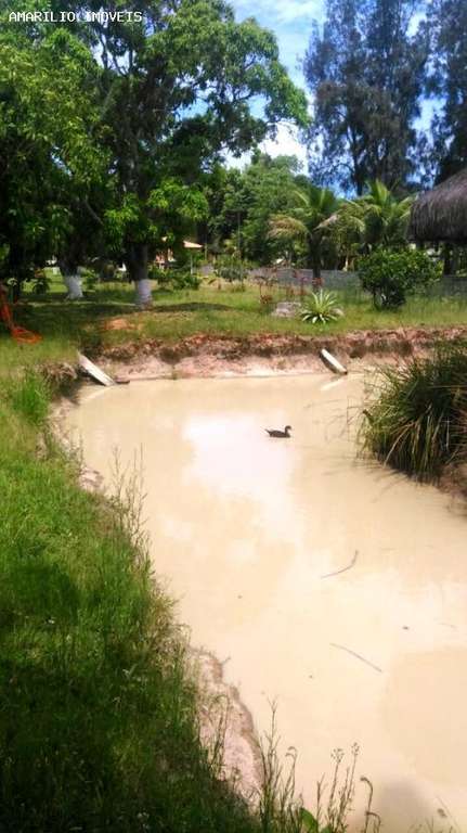 Chácara à venda com 3 quartos, 300m² - Foto 30