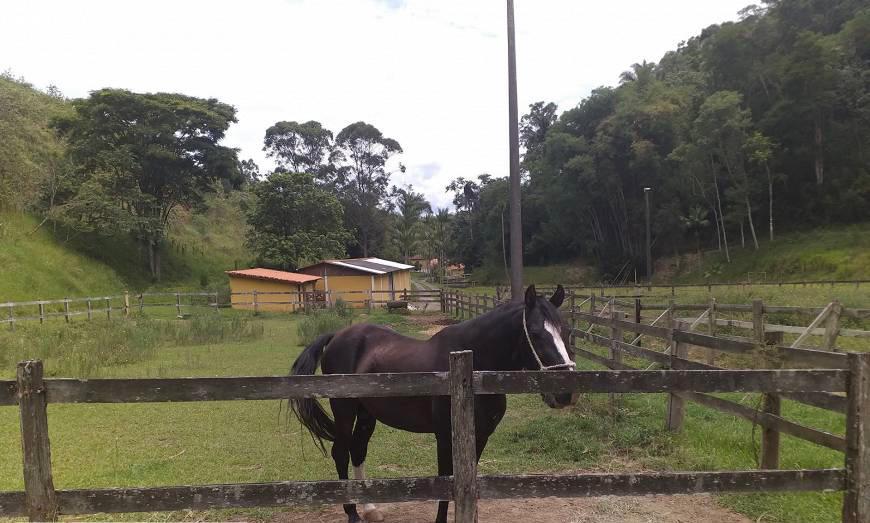 Chácara à venda com 5 quartos, 2323200m² - Foto 54