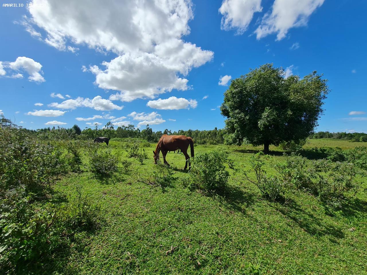 Chácara à venda, 2516800m² - Foto 19